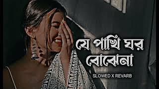 Je Pakhi Ghor Bojhena  যে পাখি ঘর বঝেনা  Slowed  Revarb  Dhruba  Bangla Lofi Song 2024 lofi [upl. by Mord807]