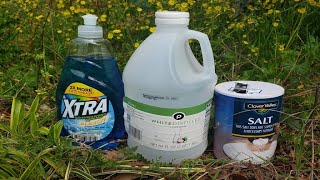 Natural Homemade Weed Killer Recipe Tested by Lawn Care Pro [upl. by Neeli148]