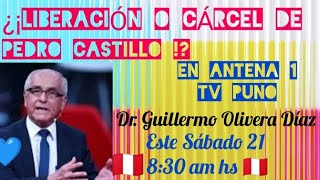 ¡EN EXCLUSIVA DR GUILLERMO OLIVERA DÍAZ ¡LIBERACIÓN O CÁRCEL DE PEDRO CASTILLO EN ANTENA 1 TV [upl. by Irrol904]