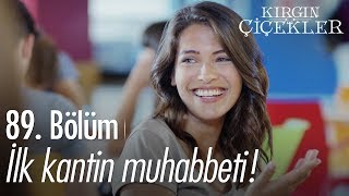 Üniversitelilerin ilk kantin muhabbeti  Kırgın Çiçekler 89 Bölüm [upl. by Mosier347]