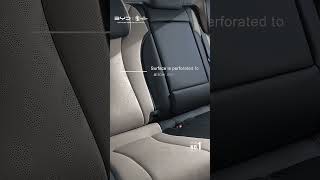 BYD Leather Seat [upl. by Leibrag]