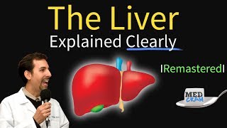 Liver Explained Function Pathology Diseases amp Cirrhosis [upl. by Paluas62]