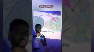 what is the work of stomataclass9 stomata science [upl. by Ecnadnak]