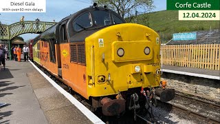 Swanage Railway Diesel Gala Trains at Corfe Castle 10052024 [upl. by Rauch150]