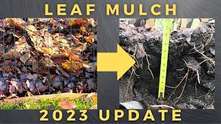 Leaf Mulch 2023 Update [upl. by Hsemar]