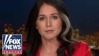 Tulsi Gabbard Labs need to be shut down immediately [upl. by Webb]