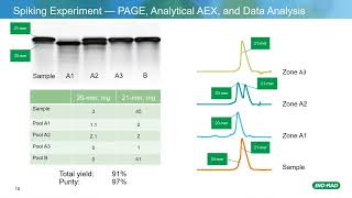 Purification of DNA Oligonucleotides Using Anion Exchange Chromatography [upl. by Nosae]