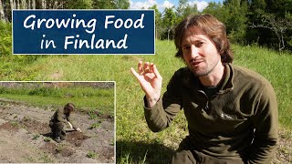 Growing Food in Freezing Finland  My First Year [upl. by Anitselec]