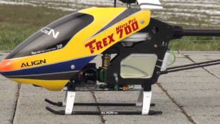 TRex 700 Turbine WREN 44 [upl. by Nbi]