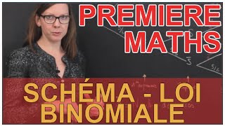 Loi binomiale  Exemple avec un schéma  Maths première  Les Bons Profs [upl. by Dinnage]