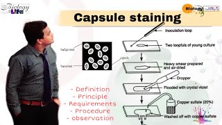 Capsule staining in hindi ll biology ll [upl. by Eisele]