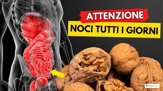 Dibattito chiuso le NOCI sono la miglior frutta secca al mondo [upl. by Shutz]