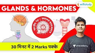 Glands amp Hormones in Human Body  Hormones amp Glands Explained by Neeraj Jangid [upl. by Timmons]