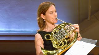 Rondo from Mozarts Horn Concerto Nr 4  Berlin Philharmonic Brass [upl. by Akihsal]