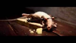 Mouse Trap  Cheese Advertisement [upl. by Lusar]