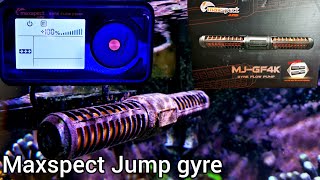 MAXSPECT JUMP GYRE 4K My Honest review [upl. by Kalle]