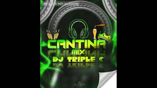 Cantina Mix Despechado en Febrero Dj Triple C [upl. by Adnawt]