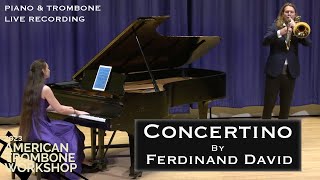 Concertino F David  Constanze Hochwartner amp Peter Steiner [upl. by Fachanan462]