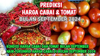 Prediksi harga cabai dan tomat bulan Maret 2024 [upl. by Callida]