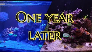 Waterbox Marine 452 one year update [upl. by Namilus]