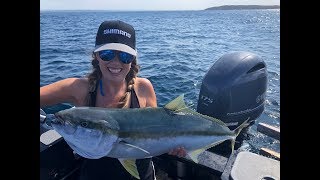 IFISH Kingfish in Jervis Bay [upl. by Nored115]