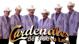 15 Leyendas de LOS CARDENALES [upl. by Windham]