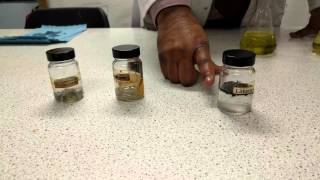 Alkali metals reacting with water C1 AQA GCSE [upl. by Edyaw]