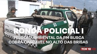 Ronda Policial I  Pelotão ambiental da PM busca cobra cascavel no Alto das Brisas [upl. by Ellenrad964]