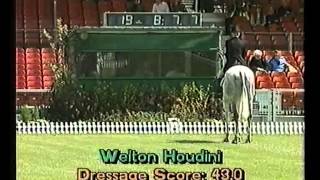 Badminton Horse Trials 1993 [upl. by Harras220]