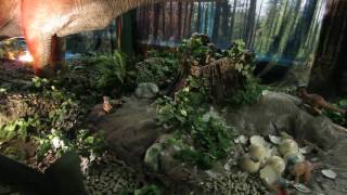 Clips from our visit to the Virginia Living Museum [upl. by Nnylrats]