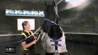 EP TV Episode 11  How Do I Stop My Horses Mane From Rubbing Out [upl. by Bak859]