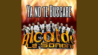 Alcalde La Sonora  Te Quiero Dar Amor Video Oficial [upl. by Kariotta]