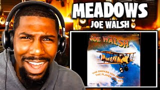 FANTASTIC DRUMS  Meadows  Joe Walsh Reaction [upl. by Adnilra]