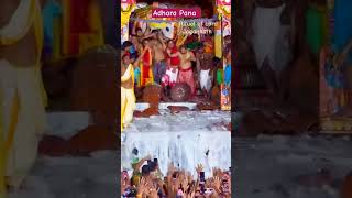 Adhara Pana Ritual of Lord Jagannath ⭕❗⭕ jayjagannath rathyatra [upl. by Illona180]