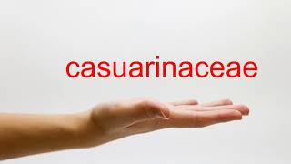 How to Pronounce casuarinaceae  American English [upl. by Dewain]