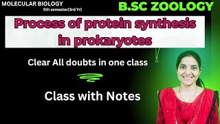 Process of Protein Synthesis In Prokaryotes BSc Zoology 5th semesterprokaryotic translation [upl. by Furey]