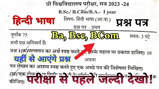 Hindi Language Question Paper 2024 BA BSC BCom Foundation Course Hindi Language imp ques [upl. by Joashus]