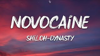 Shiloh Dynasty  Novocaine Lyrics [upl. by Lunneta]