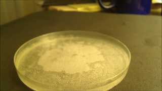 What is the Difference Between Melting and Dissolving [upl. by Anatsirhc]