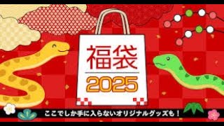 しまむら2025年福袋コレクション 買い物の楽しみと驚きのアドレス [upl. by Ylen664]