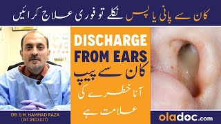 Kaan Se Pani Kyu Nikalta Hai  Ear Discharge Treatment In Urdu  Kan Se Peep Ka Ilaj  Puss From Ear [upl. by Googins]