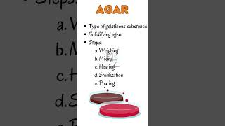 AGAR plate Culture Medium bacteriology culturemedia [upl. by Gardie]