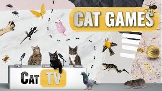 Cat Games  Ultimate Cat TV Compilation Vol 14  2 HOURS 🐱📺🐇🕷️🏀🎣🎈🦜🐜🐭🧵🐝🐞🦋🦎 [upl. by Revolc284]