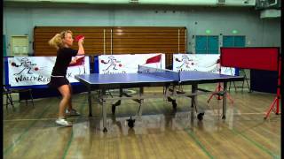 Play Table Tennis with Wally Rebounders Return Board [upl. by Akeenat]