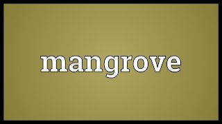 Mangrove Meaning [upl. by Rednav597]