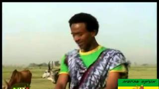 Melaku Nigus track 4 2013 New Ethiopian music Rayan Music Wollo Music Ethiopian Music [upl. by Otina]