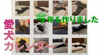 今年も愛犬の写真入りオリジナルカレンダーを作りました I made an original dog calendar [upl. by Haela]