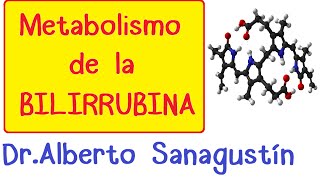 METABOLISMO DE LA BILIRRUBINA Fisiología [upl. by Finnegan439]