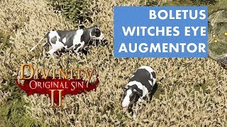 Where to find Boletus  Augmentor amp Witches eye Divinity Original Sin 2 [upl. by Atir]