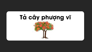 Hướng dẫn viết bài văn TẢ CÂY PHƯỢNG VĨ Lớp 4 5 Hay Nhất Việt Nam [upl. by Emelen]